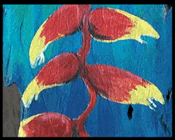 Driftwood Paintings - Island Art Studio|Bocas del Toro